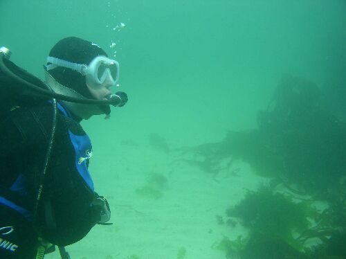 Diving cornwall